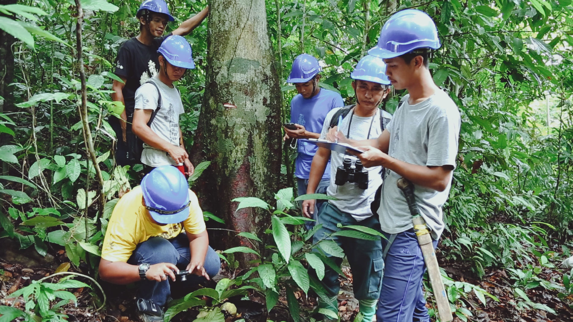 The Merisuli team out on a tree tagging survey, where they locate potential parent trees and record its location, and note the possibilities of the next fruiting.