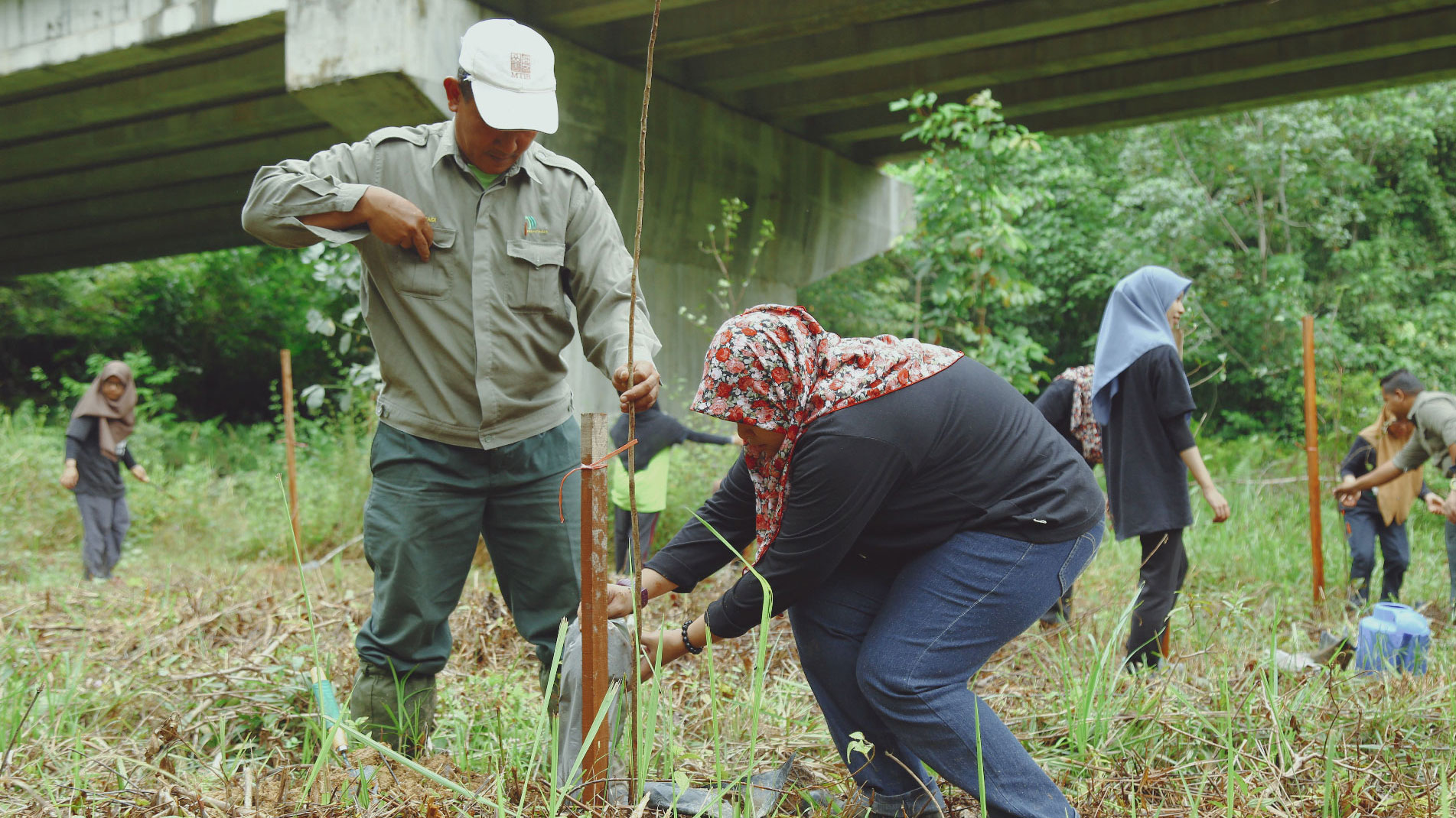 Tree planting at the Terengganu viaduct with the state forestry department.